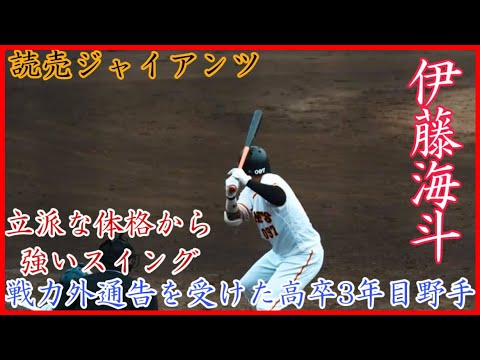 【巨人戦力外】立派な体格から強いスイング！読売ジャイアンツ 伊藤海斗のバッティング！