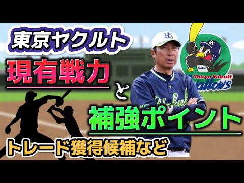 【マクガフの穴・先発の核が30代突入】東京ヤクルト　現在の戦力図と補強ポイント