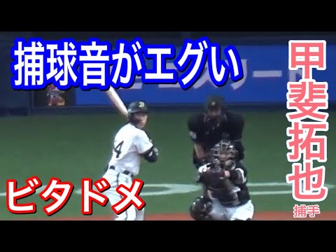 捕球音が銃声！育成から侍ジャパン甲斐拓也選手のキャッチング