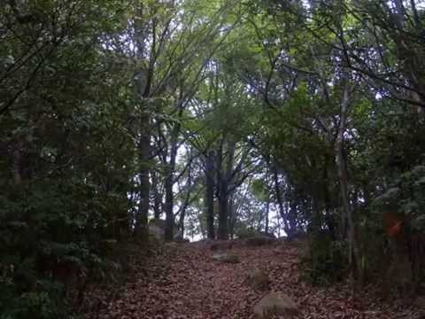 笠井山　【旧動画：写真～動画/岡山県の心霊スポット】