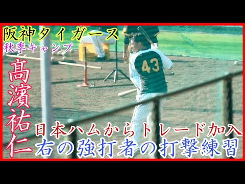 【秋季キャンプ】日本ハムからトレード加入の右打ち強打者！阪神 高浜祐仁のバッティング練習！