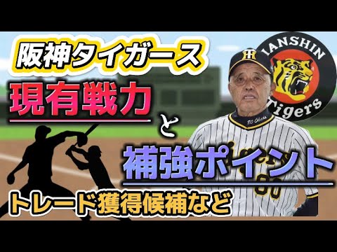 【藤浪晋太郎と有原航平】阪神タイガース　現在の戦力図と補強ポイントとは？【球団本部長の補強終了宣言】