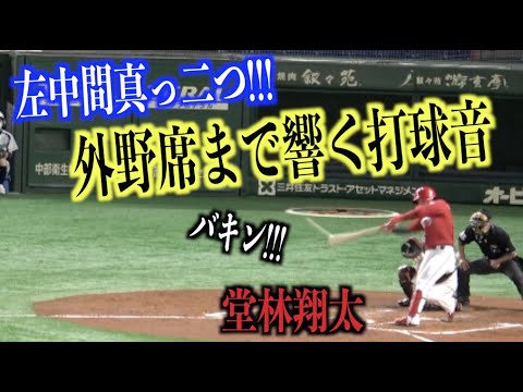 左中間真っ二つ！外野席まで快音響かせる堂林翔太のタイムリーツーベース【広島東洋カープ】