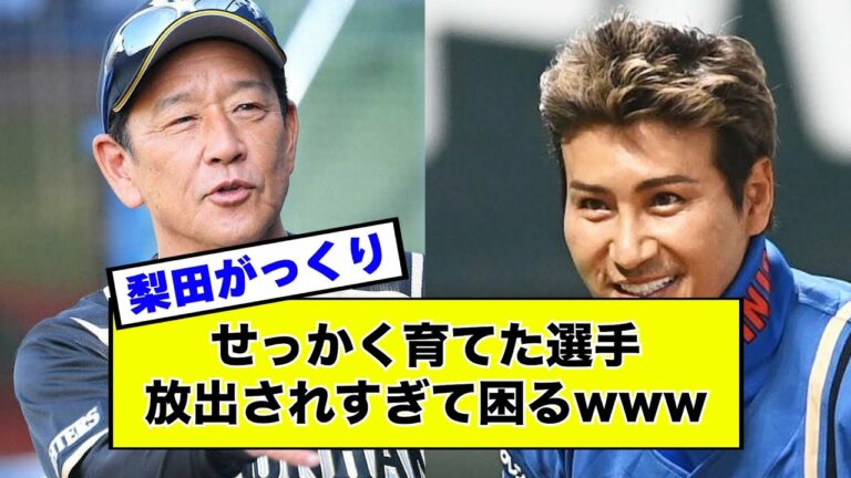【総入れ替え】2年前のハム打線メンバーもう誰も残ってないwww