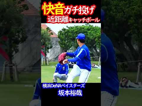 春季キャンプ in 横浜DeNAベイスターズ 【2022/2/11 再up】ものまね王上茶谷らガチキャッチボール #shorts