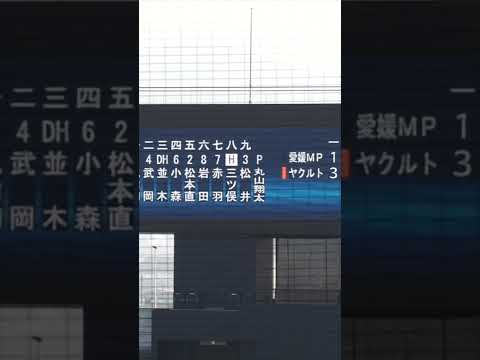 【三ツ俣大樹 ヤクルト移籍後 初打席(練習試合)】2022/11/12(土) 三ツ俣大樹 フォアボール 打席(9回裏) vs 谷井怜央(愛媛マンダリンパイレーツ) #shorts