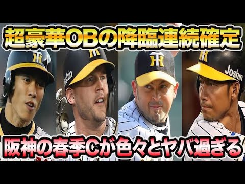 【サンズの長期滞在も確定】阪神の春季キャンプが色々とヤバ過ぎる件について!! 赤星&鳥谷の降臨が生み出す効果を徹底解説【阪神タイガース】