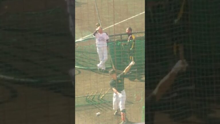 増田珠選手　トスバッティング（福岡ソフトバンクホークス2022年秋季キャンプにて）
