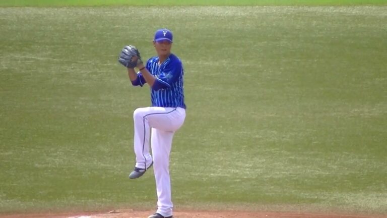 【スローで見る】横浜DeNA宮國椋丞の投球フォーム2021年8月22日
