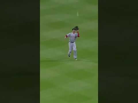 Is The Baserunner Out Or Safe At Home?
