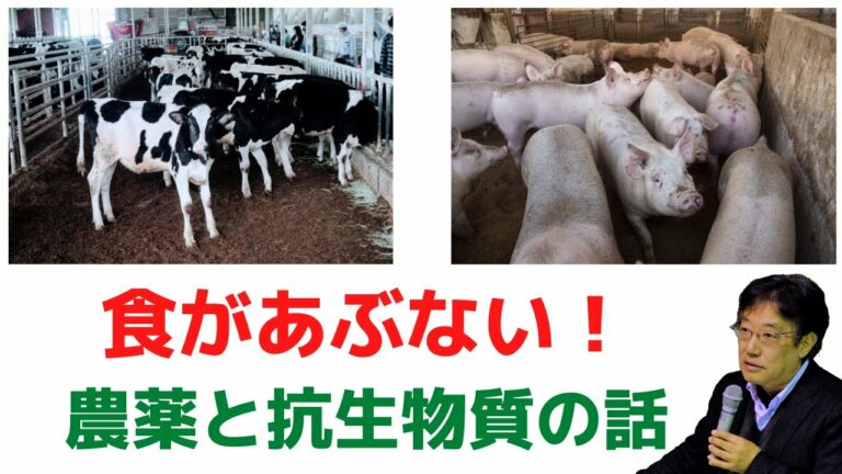 田中優「食があぶない～農薬と抗生物質～」