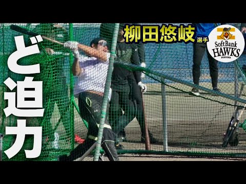 フリー打撃！柳田悠岐選手！《2023年  佐伯中央病院スタジアム》