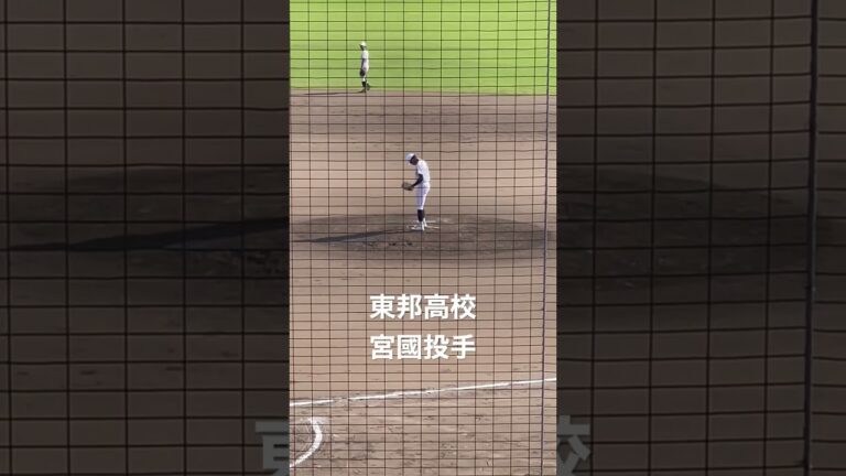 東邦高校　エース　宮國投手　　　投球フォーム