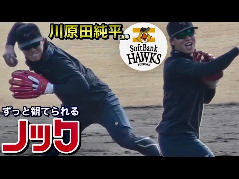 滑らか！柔らかい！安定感！…HAWKS  川原田純平選手の守備練習！