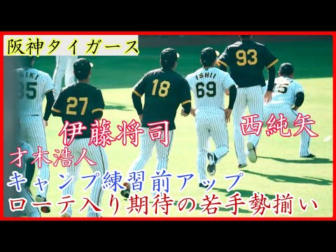 【阪神キャンプ】伊藤将司ら期待の投手陣が揃う！阪神 キャンプの守備練習前アップ