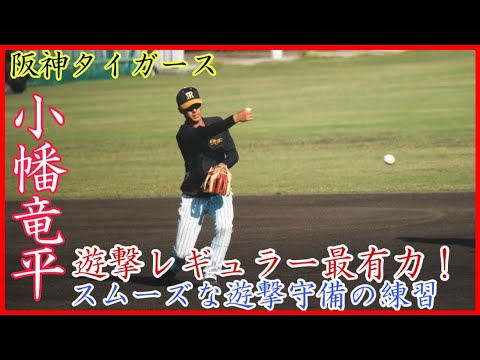 【阪神キャンプ】遊撃レギュラー最有力！阪神 小幡竜平のショート守備練習！