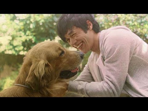 高木渉を始め、梅原裕一郎ら豪華吹替版声優が決定／映画『僕のワンダフル・ライフ』TVスポット