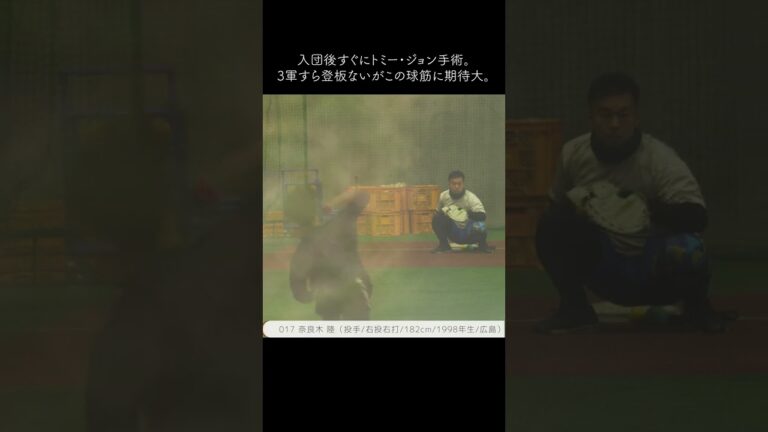 【巨人】2023年は奈良木陸投手に期待してる　#shorts