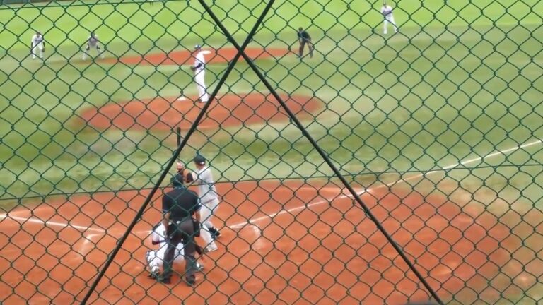 ジャイアンツ立岡宗一郎から三振！ヤクルト大下佑馬イースタン2018年6月14日 戸田ヤクルト対巨人