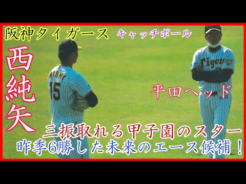 【阪神キャンプ】昨季6勝した未来の剛腕エース候補！阪神 西純矢のキャッチボールに注目する平田ヘッド