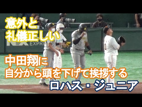 中田翔に自分から頭を下げて挨拶するロハス・ジュニア