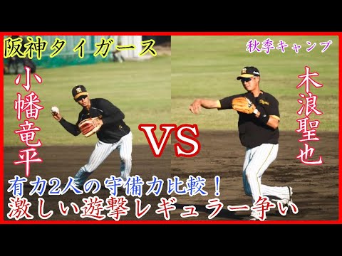 【阪神キャンプ】阪神遊撃レギュラー候補の守備力比較！木浪聖也vs小幡竜平！