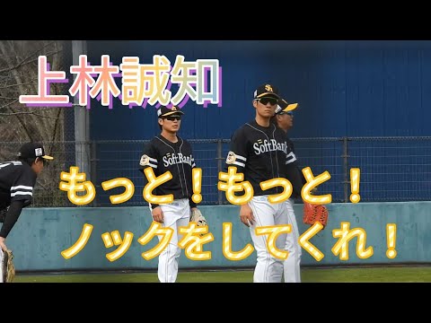 【上林誠知選手】もっと練習がしたい🥎もっと！もっと！ノックしてくれ🏃✨
