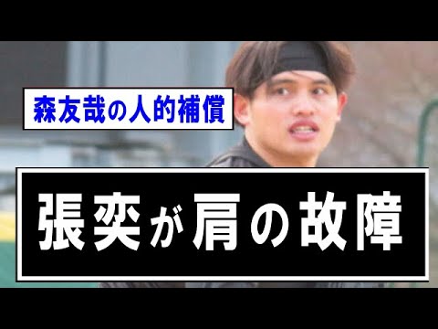 【西武】森友哉の人的補償の張奕が肩の故障 【野球】なんJ反応まとめ 【2chスレ・5chまとめ】
