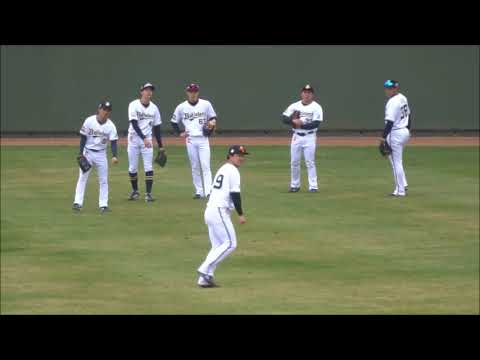 【外野ノック】渡部遼斗・元謙太・来田涼斗・池田陵真・佐野皓大・渡邉大樹・中川圭太選手　～オリックス・バファローズ宮崎春季キャンプ2023～