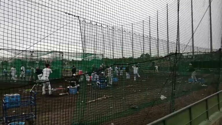 沖縄石垣島　千葉ロッテマリーンズ春季キャンプ！