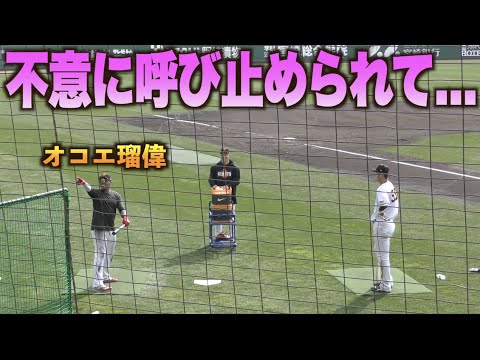 客席にいた知り合いを見つけてテンションが上がるオコエ瑠偉www#巨人#ジャイアンツ#キャンプ