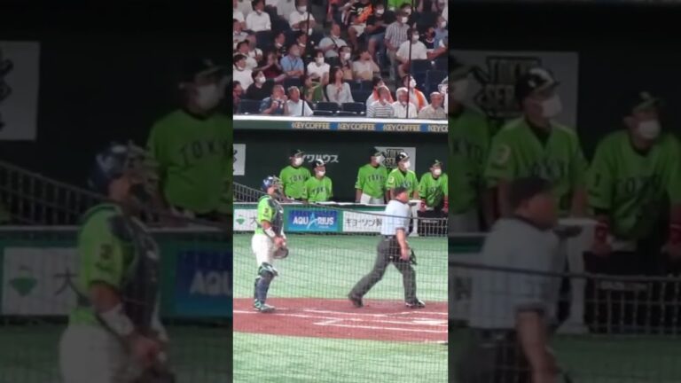 中田翔のホームランに呆然とする中村悠平