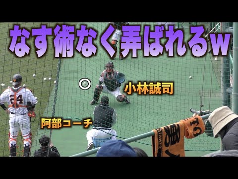 いつ飛んでくるかくるか分からない阿部慎之助コーチの球になす術のない小林誠司w