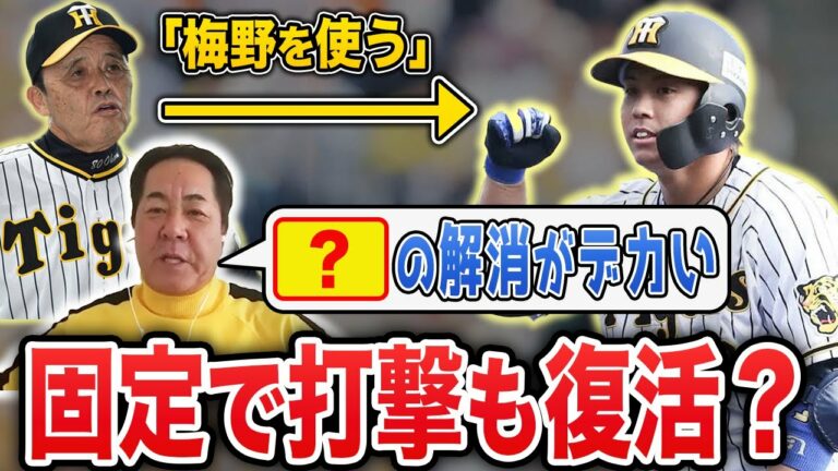 【優勝のキーマン】梅野をレギュラーにするメリットと今年期待できる成績