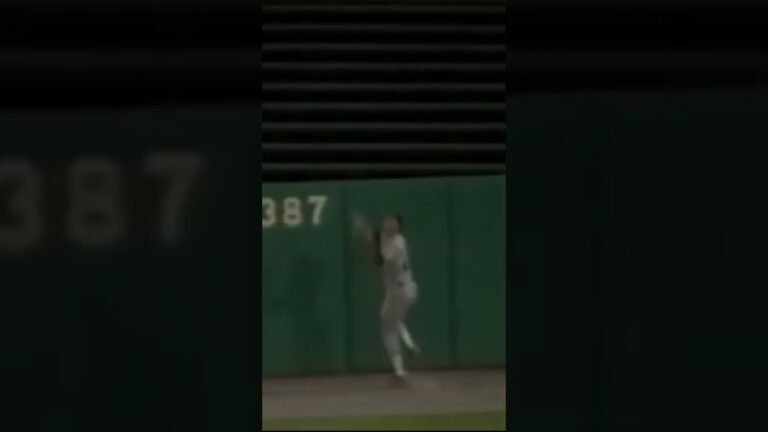 Is This A Homerun Or Not??