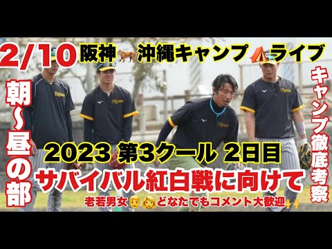 【ゲスト岩田稔】23/2/10  猛虎キャンプリポート2023 鳥谷敬臨時コーチ　2日目　紅白戦前の最終調整を徹底解説＃阪神タイガース　＃阪神キャンプ　#阪神