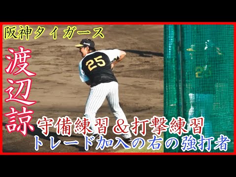 【阪神キャンプ】貴重な右の強打者！阪神 渡辺諒の二塁守備練習&バッティング練習！