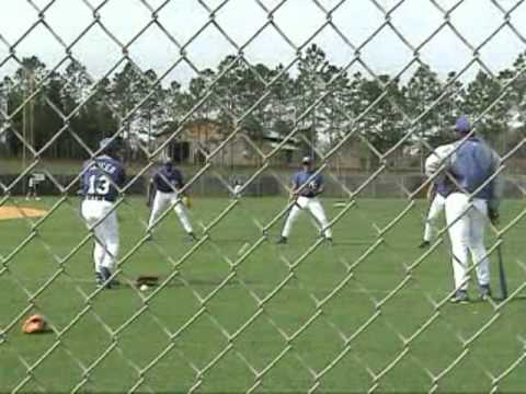 ＭＬＢロイヤルズ　ペッパーゲーム