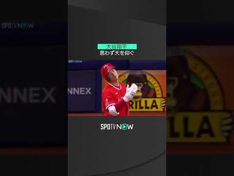 【MLB】8.23 際どい！エンゼルス・大谷翔平が代打出場も初球の判定に天を仰ぐ #angels #spotvnow