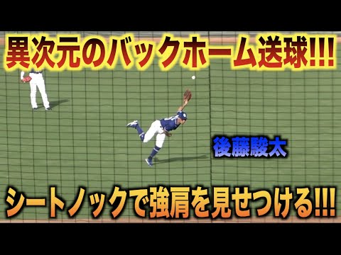 バックホーム送球がエグいwwシートノックで自慢の強肩を見せつける後藤駿太www