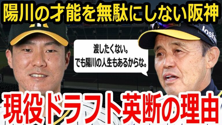 【上手い】陽川尚将を現役ドラフトリストに入れた阪神の賢い選択。その理由は？【阪神タイガース】