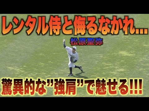 サポートメンバーだと…？侍のシートノックで松原聖弥が驚異的な本塁送球を見せる！！#日本代表#侍ジャパン#キャンプ#WBC