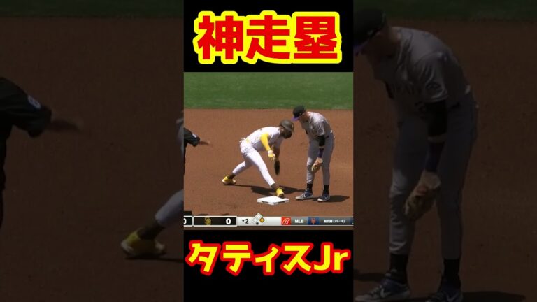 タティスJrのエグすぎる身体能力 #shorts #メジャー #メジャーリーグ #mlb