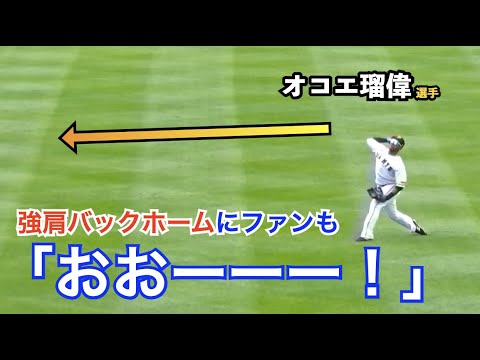 巨人オコエ瑠偉選手の強肩バックホームにファンも驚愕！今回は鈴木尚広コーチがシートノック！最後のキャッチャーフライに苦戦する場面も！読売ジャイアンツ 春季キャンプ