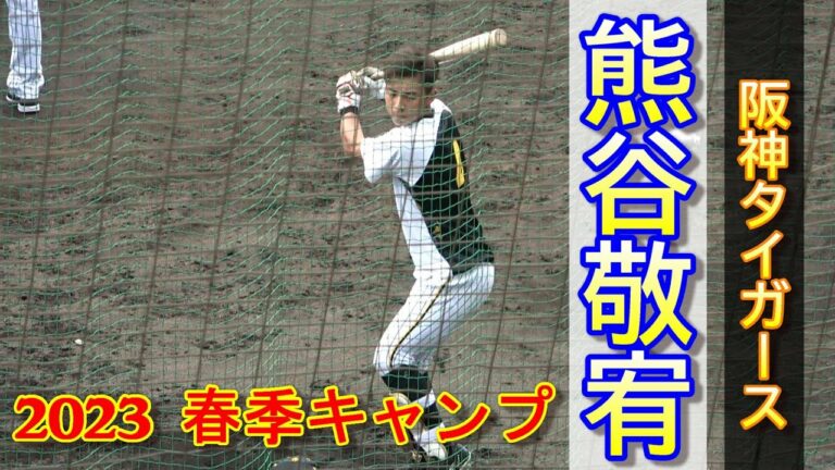 【2023春季キャンプ】虎のユーティリティー熊谷 敬宥選手‼