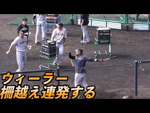 ウィーラーがロングティーで柵越え連発！現役復帰も夢じゃない!? 読売ジャイアンツ春季キャンプ 2023/03/05