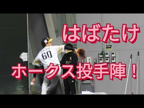 はばたけ！ホークス投手陣🥎タマスタ筑後にて😙