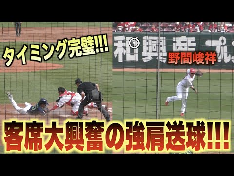 追加点を許さない野間峻祥！強肩を生かした守備にスタンド大興奮！！#広島#カープ#東京#ヤクルト#スワローズ#