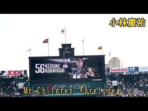 【阪神】小林慶祐 登場曲