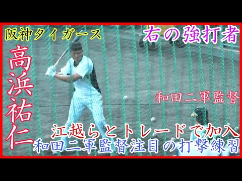 【阪神キャンプ】江越らとのトレードの右の強打者！阪神 高浜祐仁のバッティング練習！和田二軍監督も注目
